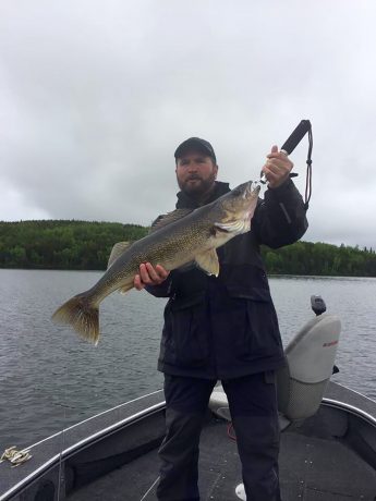 Walleye caught at Big Canon Lake Lodge
